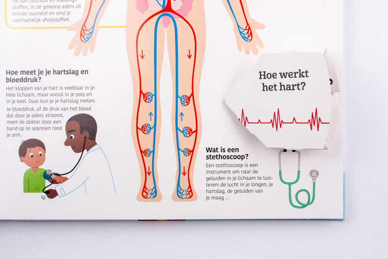 Het grote boek over het menselijk lichaam 4