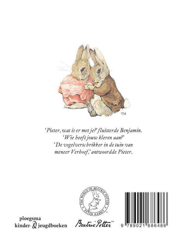 Het verhaal van Benjamin Wollepluis 2