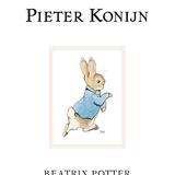 Het verhaal van Pieter Konijn 1