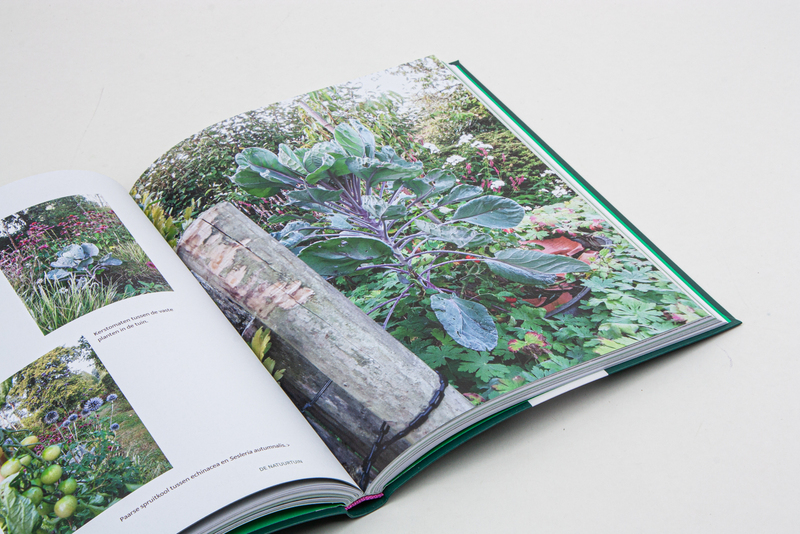 De natuurtuin 6