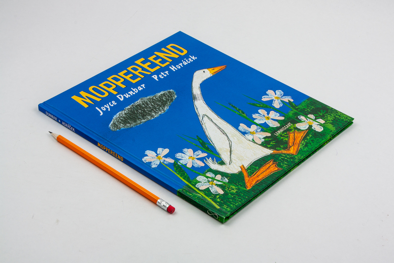 Moppereend 2