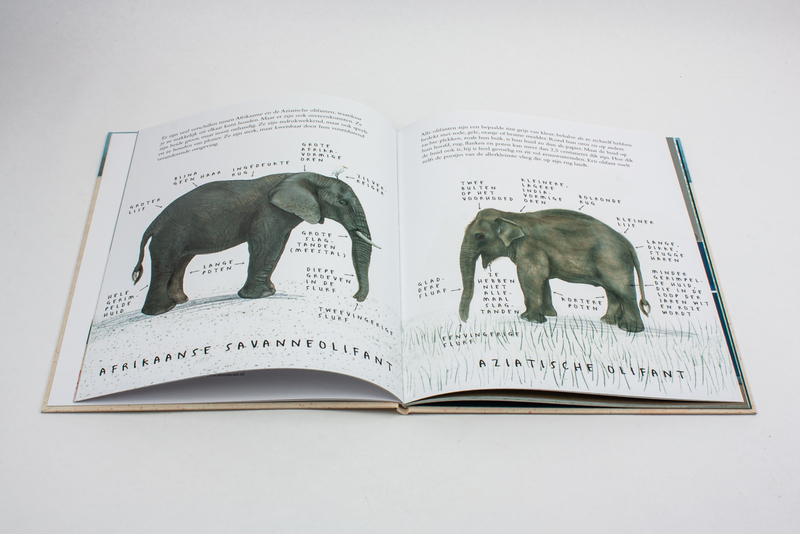 De olifant 3