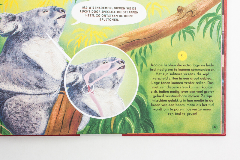 Dierentaal en plantenpraat 6