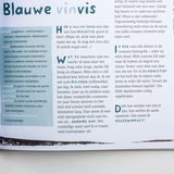 Zuid 6