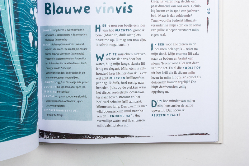 Zuid 6