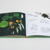Het blaadjesboek 4