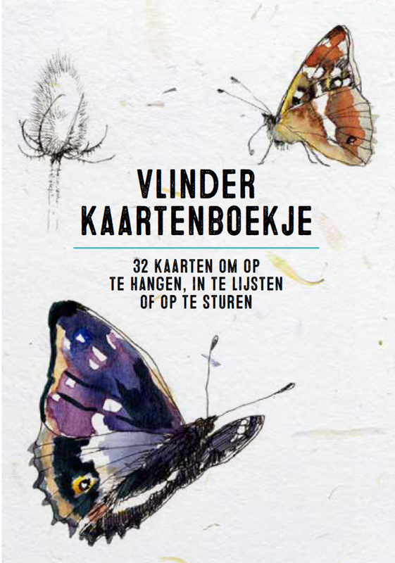 Omslag van boek: Vlinder kaartenboekje