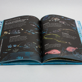 Het zinderende zee boek 4