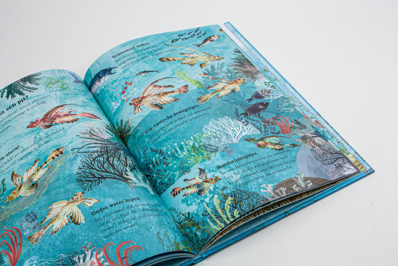 Het zinderende zee boek 5