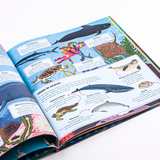 Het grote boek van onze oceaan 4