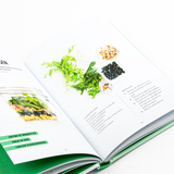 Salad in a jar 6