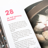 I Love Happy Cats for Kids 4