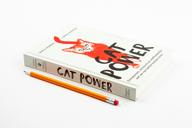 Cat Power 2