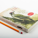 De magie van vogels 3