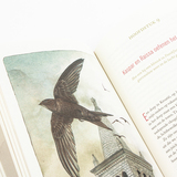De magie van vogels 4