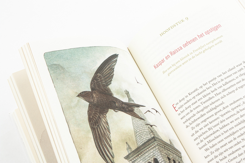De magie van vogels 4