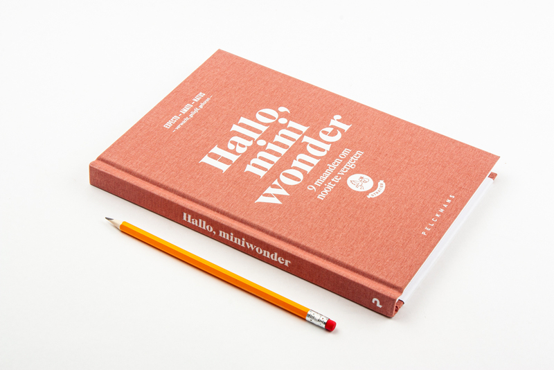 Hallo, mini wonder 2