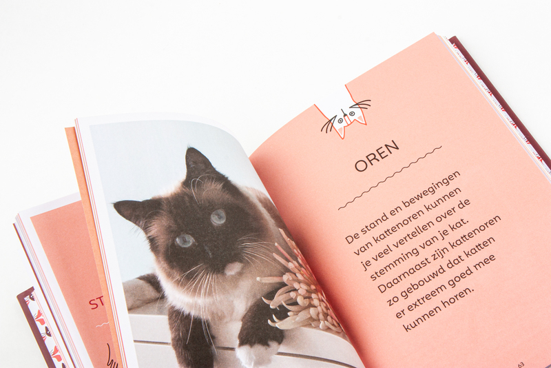 Zo praat je met je kat 5