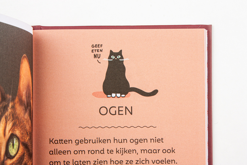 Zo praat je met je kat 6