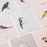 Vogels 4