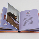52 poezenspelletjes 4