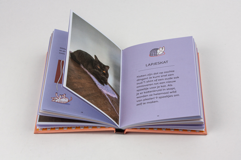 52 poezenspelletjes 4
