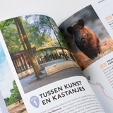 Dagje kunst & cultuur 5