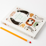 Het mysterie van de kat 3