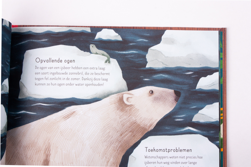 Poepen beren in het bos? 7