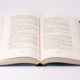 De geheime bibliotheek 4