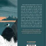 Viti en het vuurtorenpad 2