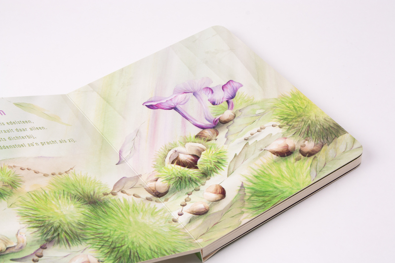 Paddenstoelenvriendjes 6