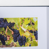 Champagne voor wijnkenners 6