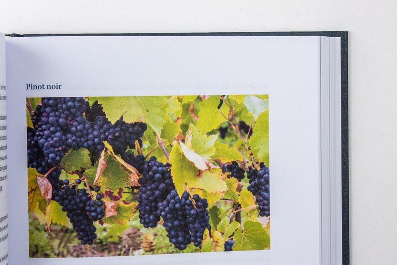 Champagne voor wijnkenners 6