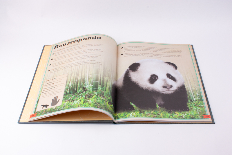 Het allermooiste boek over babydieren 5