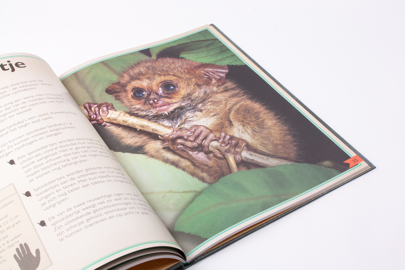 Het allermooiste boek over babydieren 6