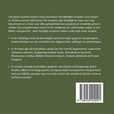 500 pizza's & platte broden 2