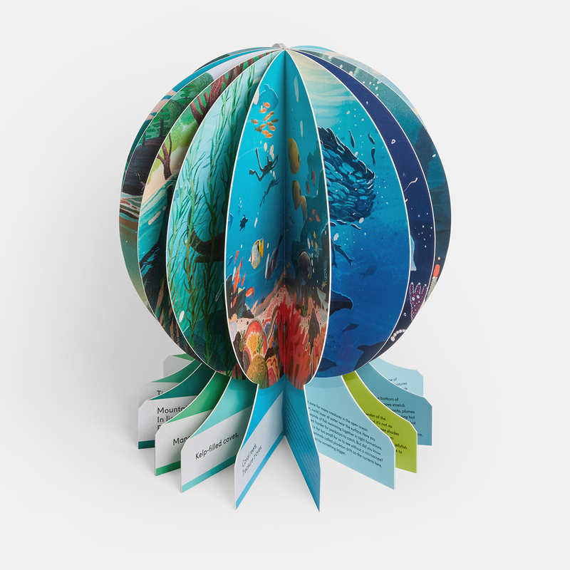 Our Underwater World 3