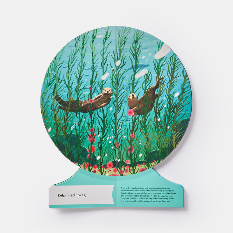 Our Underwater World 4