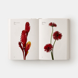 Flower Colour Guide 4