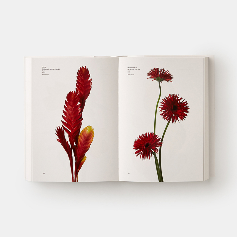 Flower Colour Guide 4