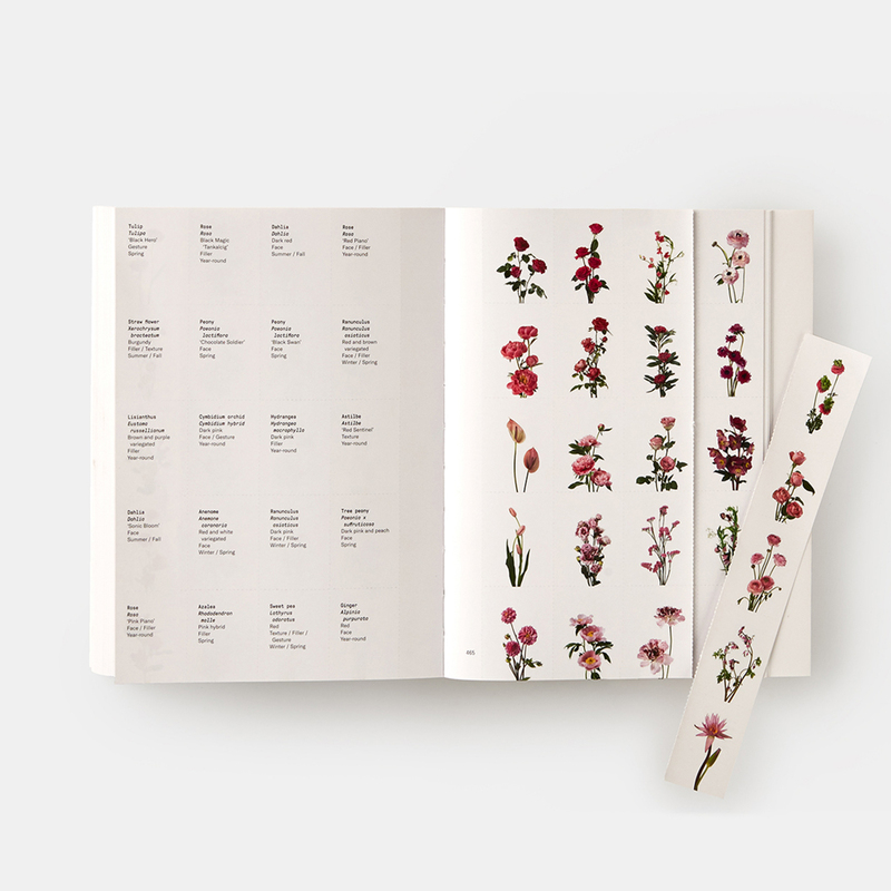 Flower Colour Guide 8