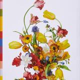 Flower Colour Theory 1