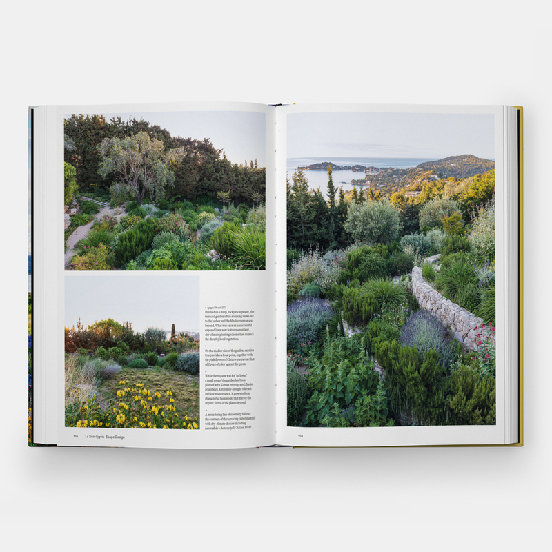 The Coastal Garden 6