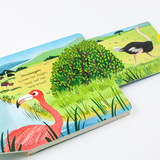 Vogels - voor kleine ontdekkingsreizigers 4