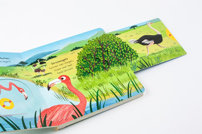 Vogels - voor kleine ontdekkingsreizigers 4