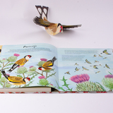 Veren maken de vogel 6