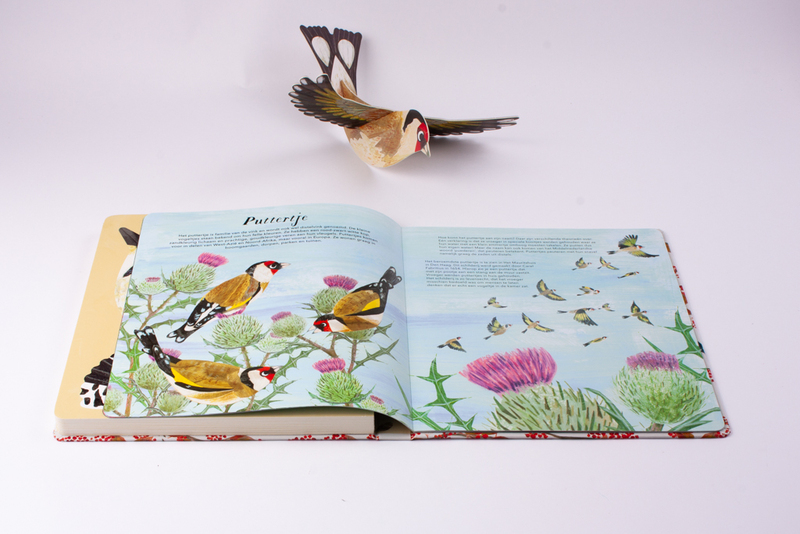 Veren maken de vogel 6