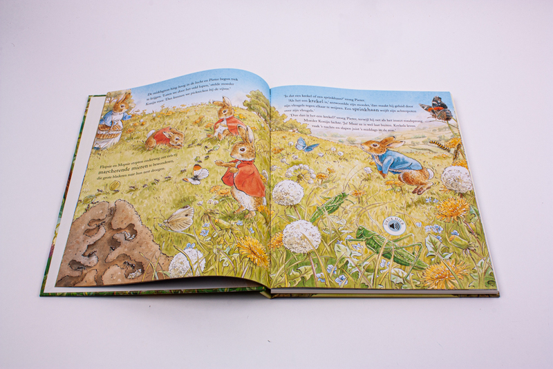 Pieter Konijn: Een dag in de natuur 4