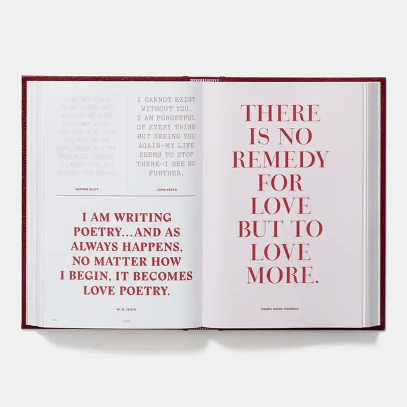 Every Day a Word Surprises Me & Other Quotes by Writers 4